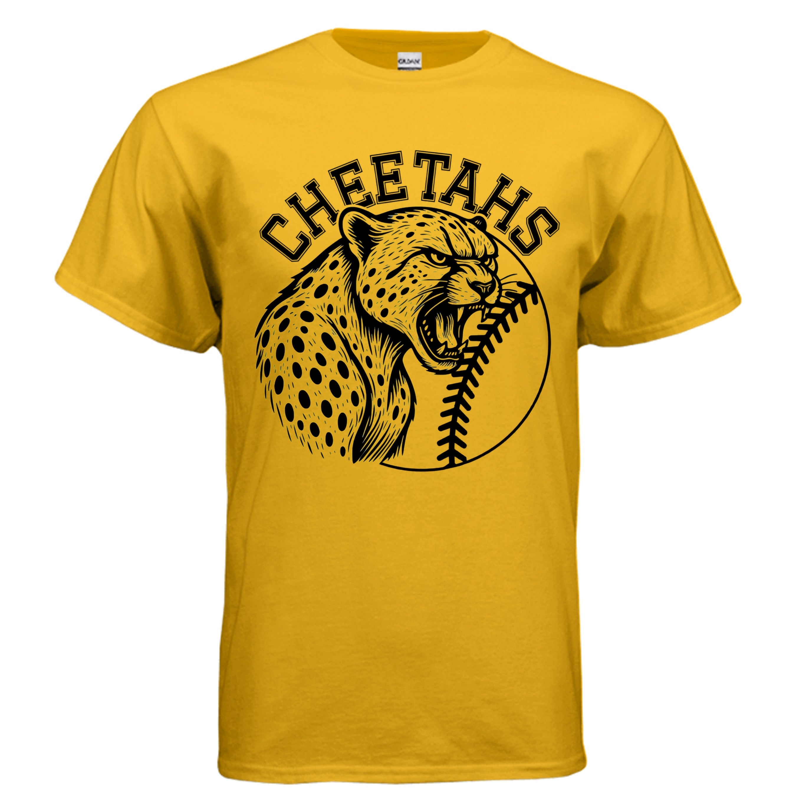Cheetahs